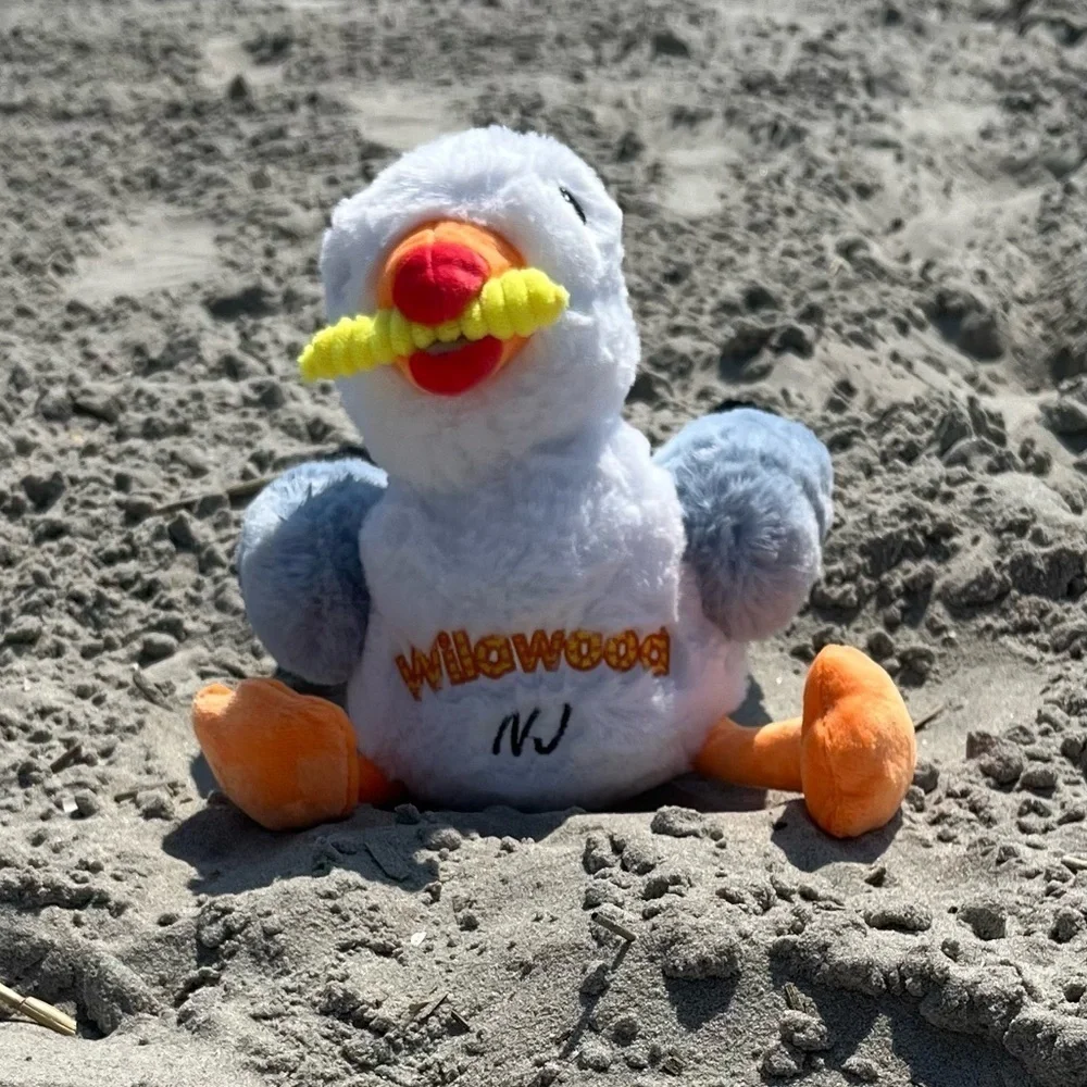 Seagull Plush Toy Wildwood NJ New Fry in his